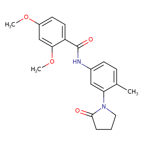 2,4-dimethoxy-N-[4-methyl-3-(2-oxopyrrolidin-1-yl)phenyl]benzamide