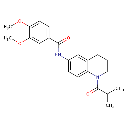 3,4-dimethoxy-N-[1-(2-methylpropanoyl)-1,2,3,4-tetrahydroquinolin-6-yl]benzamide
