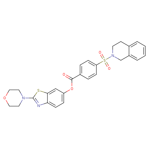 2-(morpholin-4-yl)-1,3-benzothiazol-6-yl 4-(1,2,3,4-tetrahydroisoquinoline-2-sulfonyl)benzoate