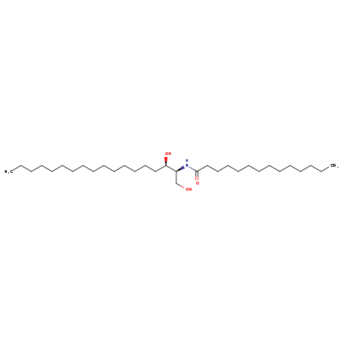 C14 Dihydroceramide