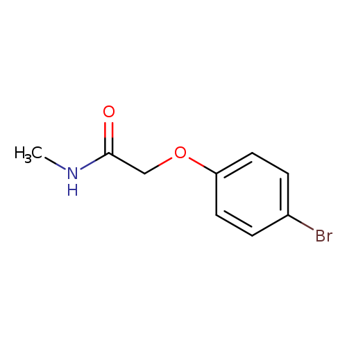 2-(4-Bromophenoxy)-N-methylacetamide