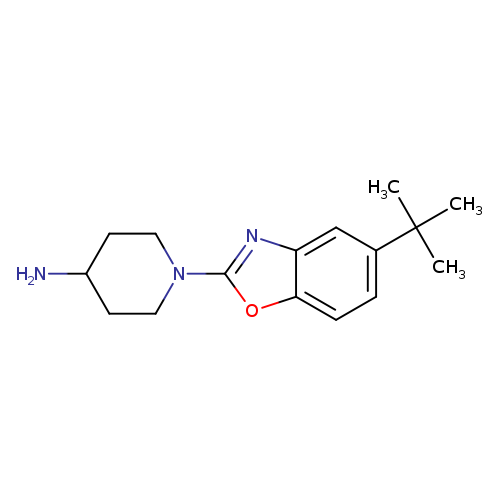1-(5-tert-Butyl-1,3-benzoxazol-2-yl)piperidin-4-amine hydrochloride