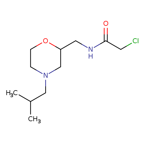 2-chloro-N-{[4-(2-methylpropyl)morpholin-2-yl]methyl}acetamide
