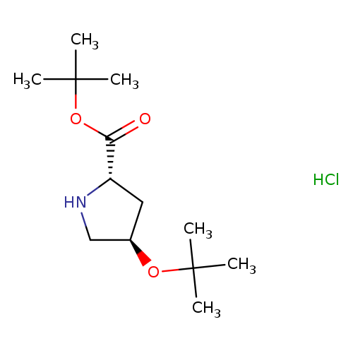 (4R)-4-(1,1-dimethylethoxy)-L-proline 1,1-dimethylethyl ester hydrochloride