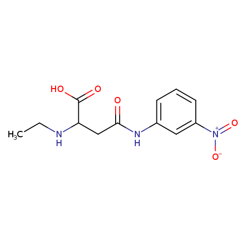 2-(ethylamino)-3-[(3-nitrophenyl)carbamoyl]propanoic acid