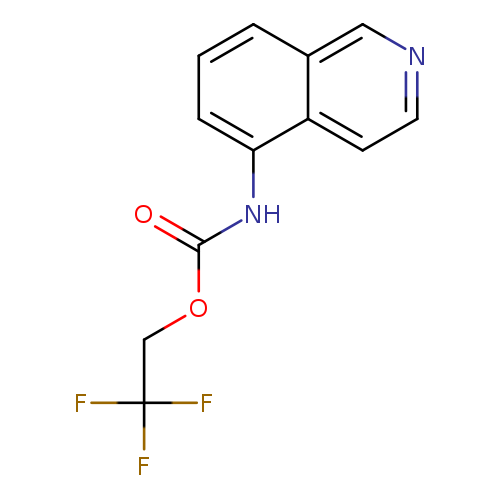 2,2,2-trifluoroethyl N-(isoquinolin-5-yl)carbamate