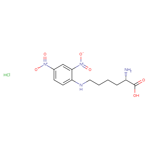 L-Lysine, N6-(2,4-dinitrophenyl)-, hydrochloride (1:1)