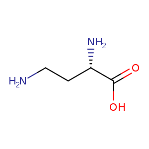 Butanoic acid, 2,4-diamino-, (2S)-