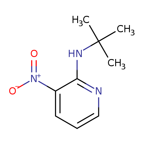 N-tert-Butyl-3-nitropyridin-2-amine