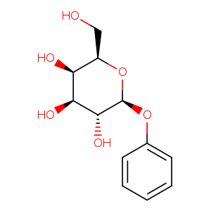 Phenyl b-D-galactoside