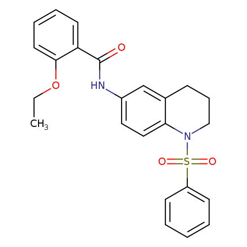 N-[1-(benzenesulfonyl)-1,2,3,4-tetrahydroquinolin-6-yl]-2-ethoxybenzamide