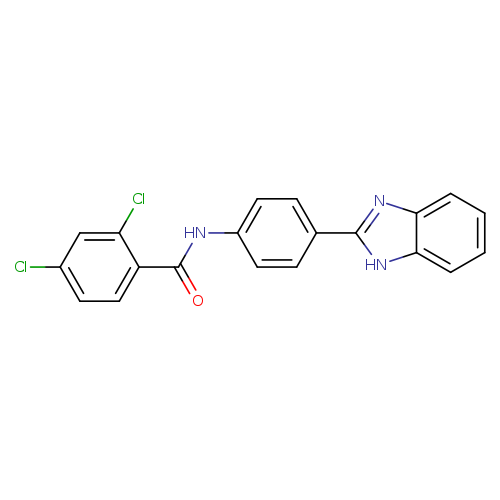 N-[4-(1H-1,3-benzodiazol-2-yl)phenyl]-2,4-dichlorobenzamide