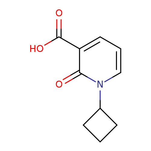 1-Cyclobutyl-2-oxo-1,2-dihydropyridine-3-carboxylic acid