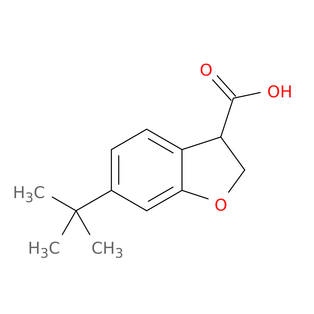 6-tert-butyl-2,3-dihydro-1-benzofuran-3-carboxylic acid
