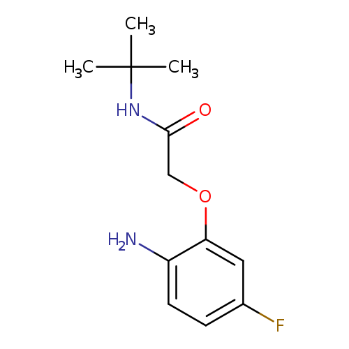 2-(2-amino-5-fluorophenoxy)-N-tert-butylacetamide
