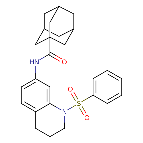 N-[1-(benzenesulfonyl)-1,2,3,4-tetrahydroquinolin-7-yl]adamantane-1-carboxamide