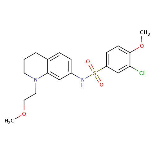 3-chloro-4-methoxy-N-[1-(2-methoxyethyl)-1,2,3,4-tetrahydroquinolin-7-yl]benzene-1-sulfonamide