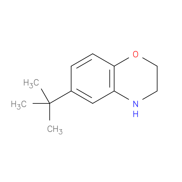 6-(tert-Butyl)-3,4-dihydro-2H-1,4-benzoxazine