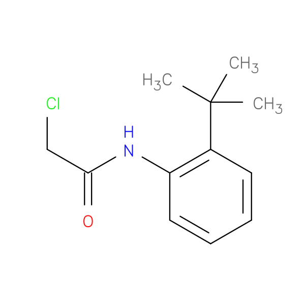N-(2-tert-butylphenyl)-2-chloroacetamide