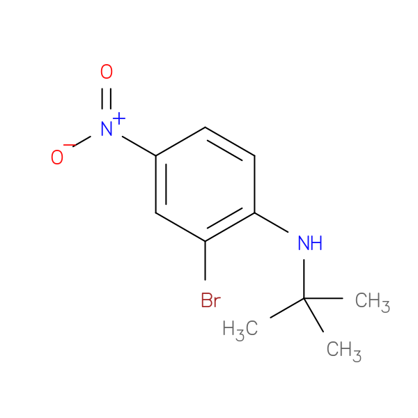 N-t-Butyl 2-bromo-4-nitroaniline