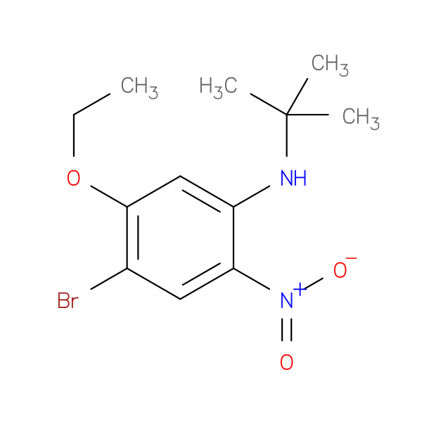 4-Bromo-N-tert-butyl-5-ethoxy-2-nitroaniline