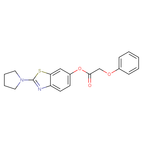 2-(pyrrolidin-1-yl)-1,3-benzothiazol-6-yl 2-phenoxyacetate