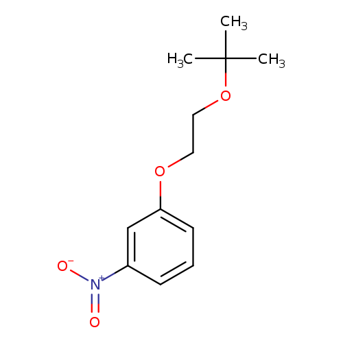 1-[2-(tert-butoxy)ethoxy]-3-nitrobenzene