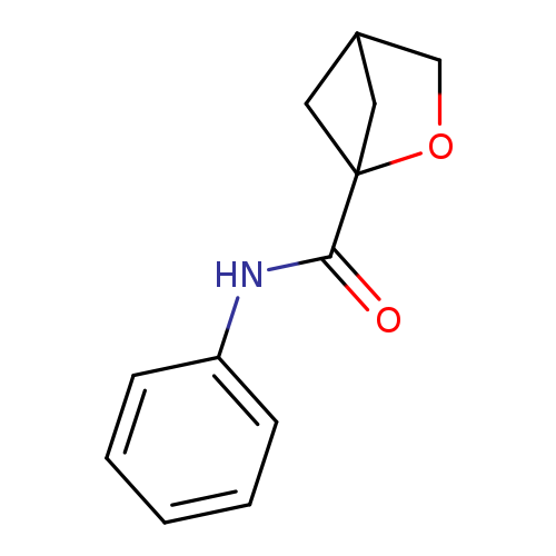 N-phenyl-2-oxabicyclo[2.1.1]hexane-1-carboxamide