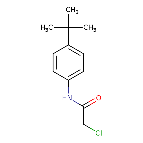 N1-[4-(TERT-BUTYL)PHENYL]-2-CHLOROACETAMIDE