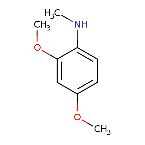 2,4-dimethoxy-N-methylaniline