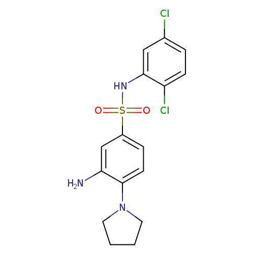 3-amino-N-(2,5-dichlorophenyl)-4-(pyrrolidin-1-yl)benzene-1-sulfonamide