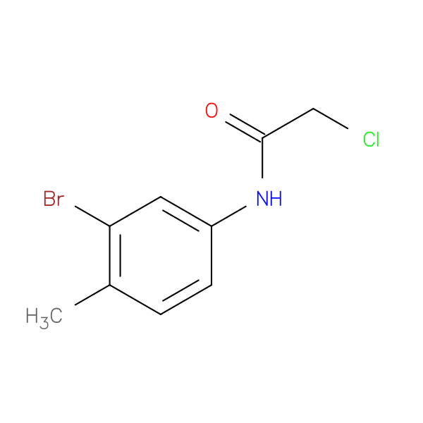 N-(3-bromo-4-methylphenyl)-2-chloroacetamide