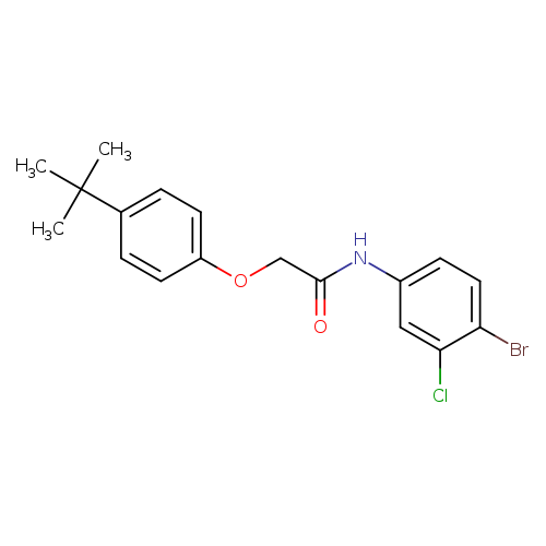 N-(4-bromo-3-chlorophenyl)-2-(4-tert-butylphenoxy)acetamide
