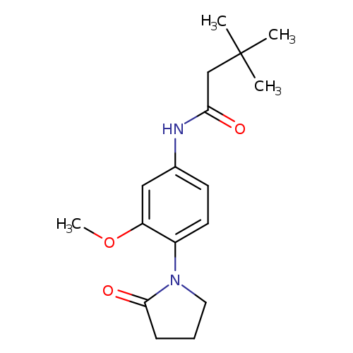 N-[3-methoxy-4-(2-oxopyrrolidin-1-yl)phenyl]-3,3-dimethylbutanamide
