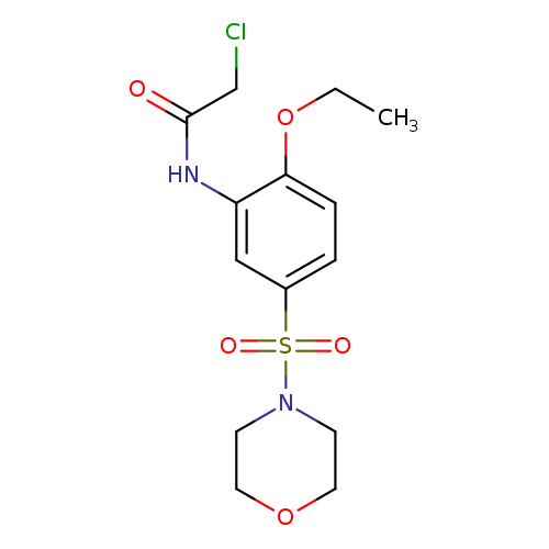 2-chloro-N-[2-ethoxy-5-(morpholine-4-sulfonyl)phenyl]acetamide