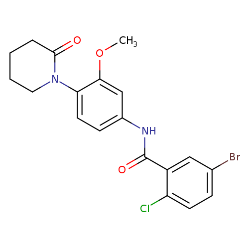 5-bromo-2-chloro-N-[3-methoxy-4-(2-oxopiperidin-1-yl)phenyl]benzamide