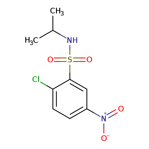 2-Chloro-N-isopropyl-5-nitrobenzenesulfonamide