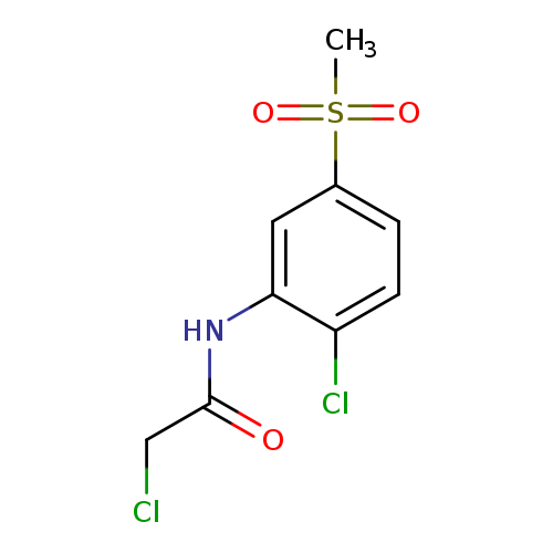 2-chloro-N-(2-chloro-5-methanesulfonylphenyl)acetamide
