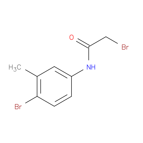 2-Bromo-n-(4-bromo-3-methylphenyl)acetamide