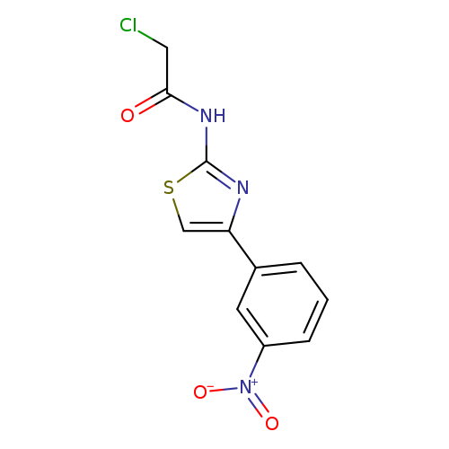 2-CHLORO-N-[4-(3-NITRO-PHENYL)-THIAZOL-2-YL]-ACETAMIDE