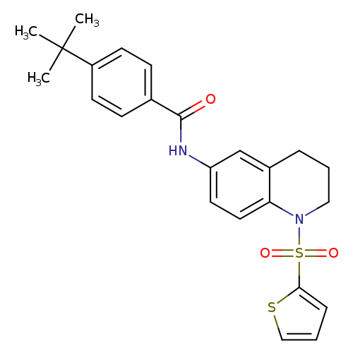 4-tert-butyl-N-[1-(thiophene-2-sulfonyl)-1,2,3,4-tetrahydroquinolin-6-yl]benzamide