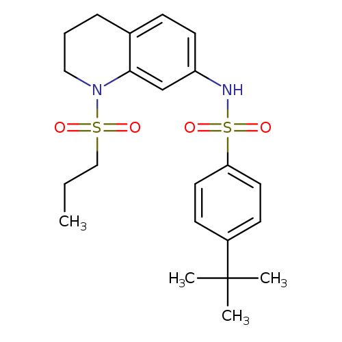 4-tert-butyl-N-[1-(propane-1-sulfonyl)-1,2,3,4-tetrahydroquinolin-7-yl]benzene-1-sulfonamide
