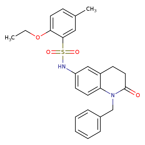 N-(1-benzyl-2-oxo-1,2,3,4-tetrahydroquinolin-6-yl)-2-ethoxy-5-methylbenzene-1-sulfonamide