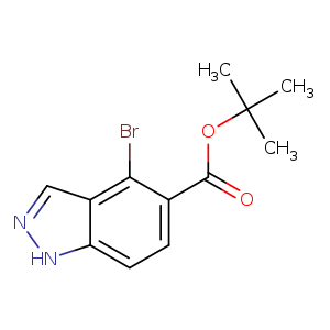 tert-Butyl 4-bromo-1H-indazole-5-carboxylate