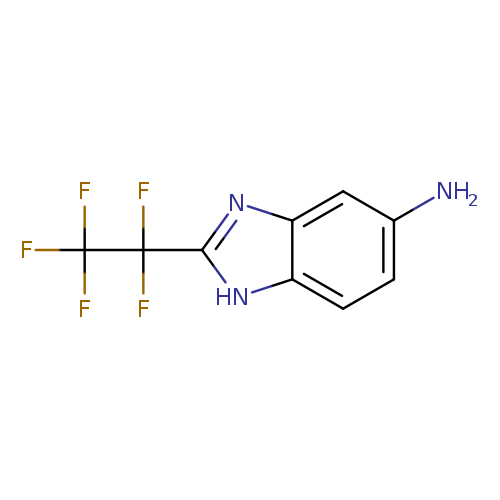 2-(pentafluoroethyl)-1H-1,3-benzodiazol-5-amine