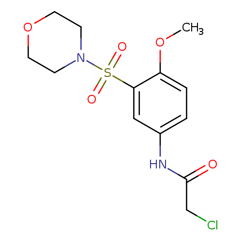 2-chloro-N-[4-methoxy-3-(morpholine-4-sulfonyl)phenyl]acetamide