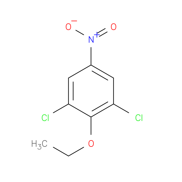 1,3-dichloro-2-ethoxy-5-nitrobenzene