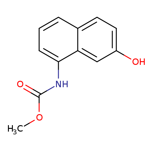 Carbamic acid, N-(7-hydroxy-1-naphthalenyl)-, methyl ester