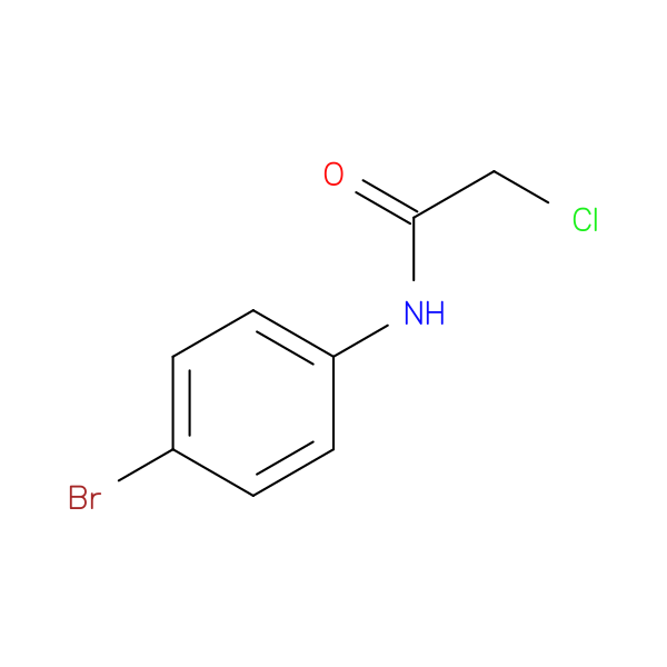 N-(4-Bromophenyl)-2-chloroacetamide