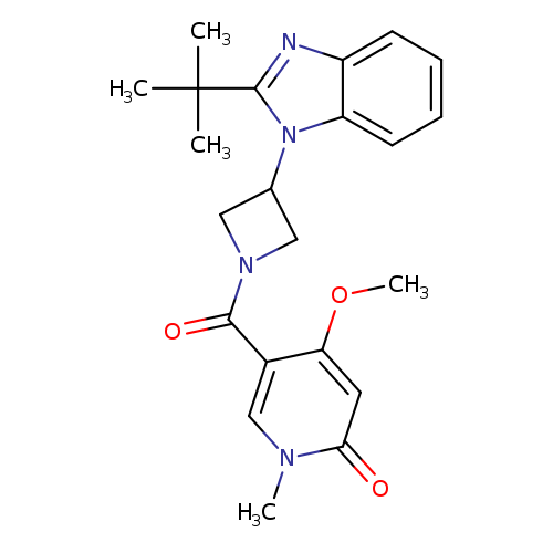 5-[3-(2-tert-butyl-1H-1,3-benzodiazol-1-yl)azetidine-1-carbonyl]-4-methoxy-1-methyl-1,2-dihydropyridin-2-one